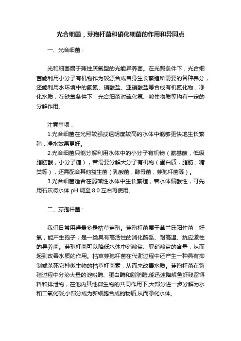 光合细菌，芽孢杆菌和硝化细菌的作用和异同点