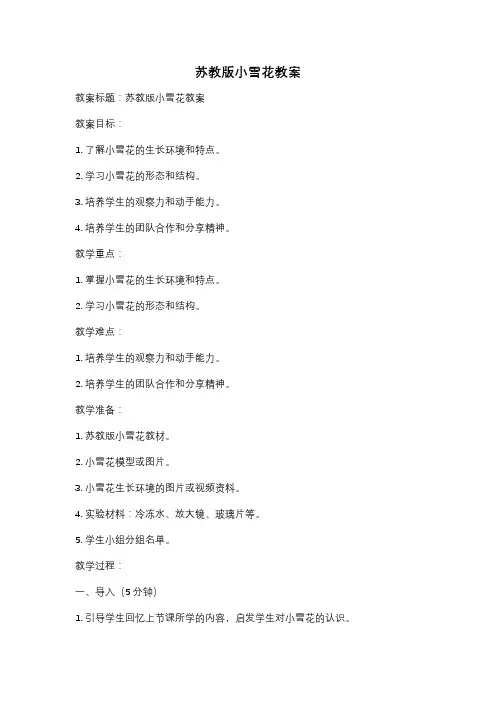 苏教版小雪花教案