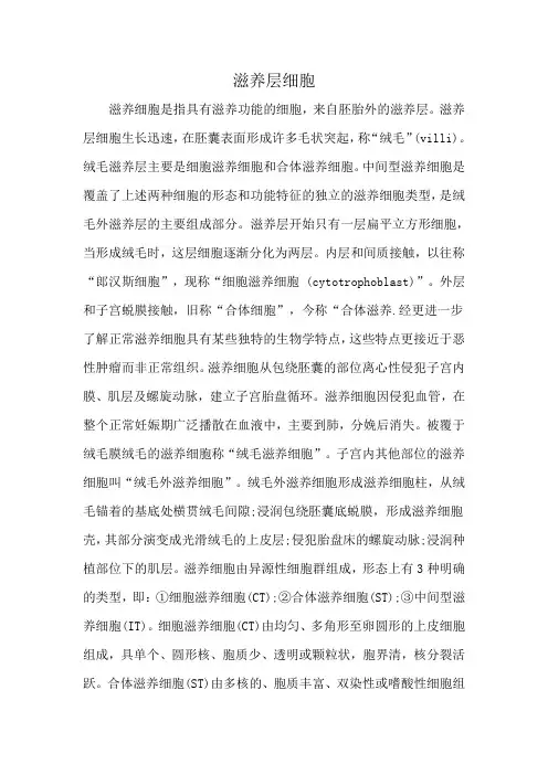 滋养层细胞