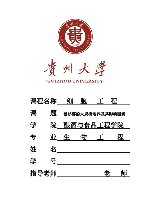 紫杉醇的大规模培养及其影响因素