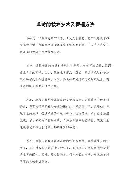草莓的栽培技术及管理方法