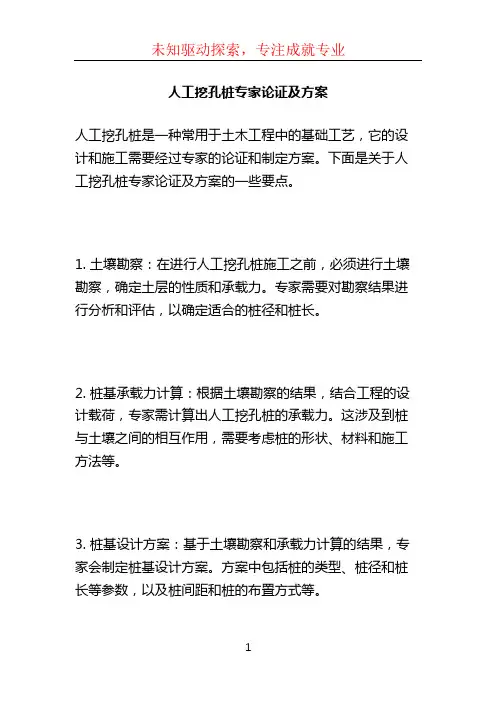 人工挖孔桩专家论证及方案