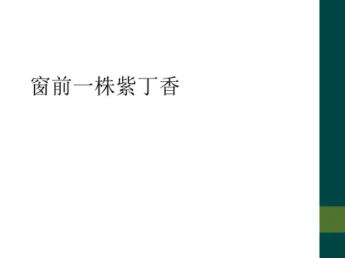 窗前一株紫丁香