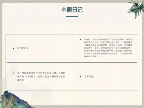 观察日记(周日家庭作业)