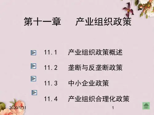 产业组织政策概论(PPT 54页)