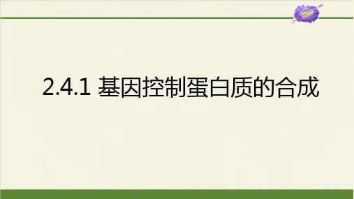 基因控制蛋白质的合成ppt课件