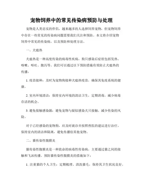 宠物饲养中的常见传染病预防与处理
