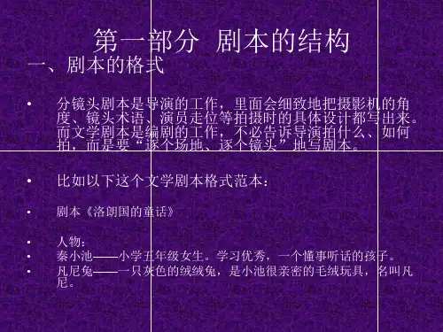 影视剧本创作
