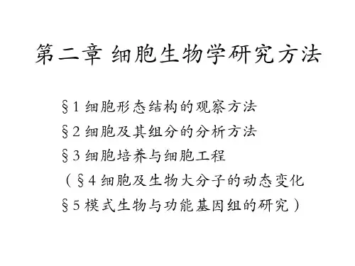 细胞生物学 第二章细胞生物学研究方法