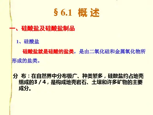硅酸盐分析