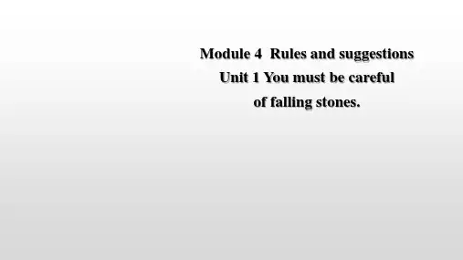 Module 4 Unit 1 课件 外研版英语九年级下册