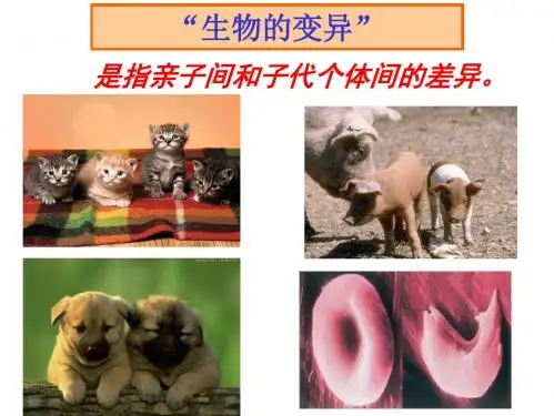 2019-人教版生物必修二第五章基因突变和基因重组精品课件(共46张PPT)-文档资料