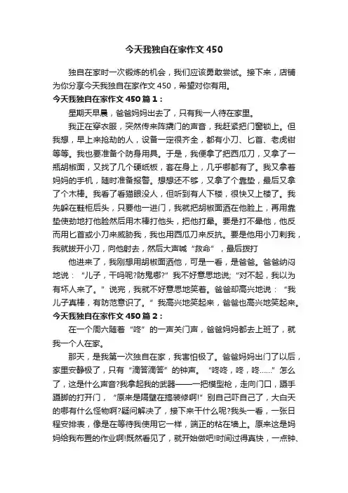 今天我独自在家作文450