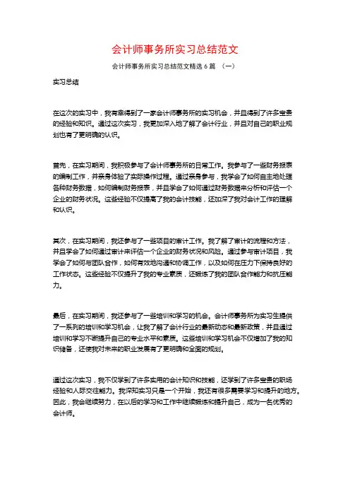 会计师事务所实习总结范文6篇