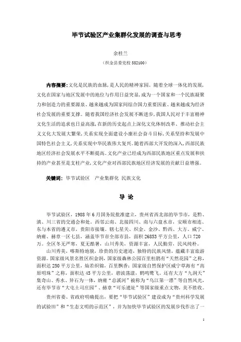 毕节试验区产业集群化发展的调查与思考