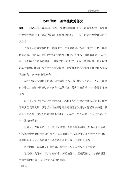 心中的那一丝牵挂优秀作文
