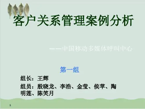 客户关系管理案例分析 PPT课件( 32页)