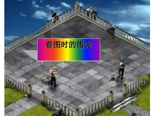 《观察与猜想看图的错觉》优秀初中数学PPT公开课