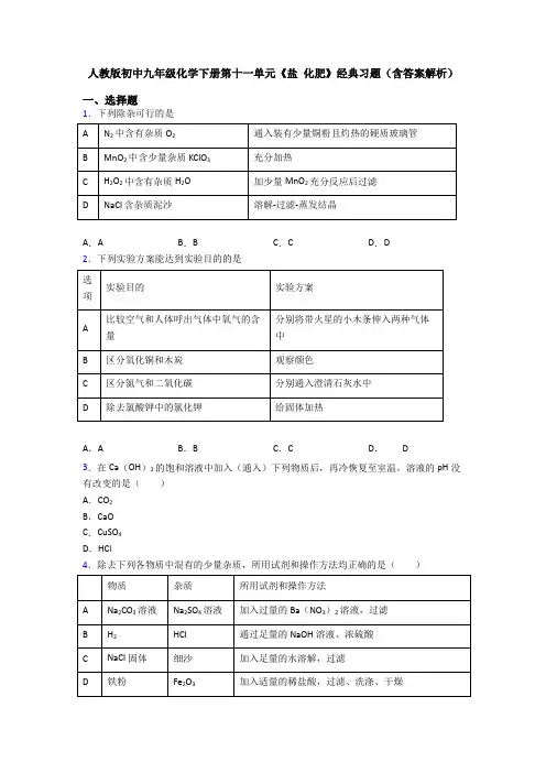 人教版初中九年级化学下册第十一单元《盐 化肥》经典习题(含答案解析)