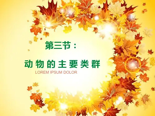 生物：第22章第3节 动物的主要类群课件(北师大版八年级下)