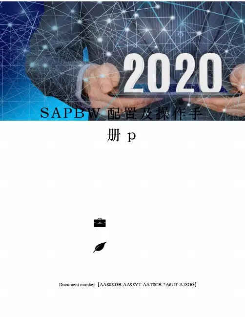 SAPBW配置及操作手册p
