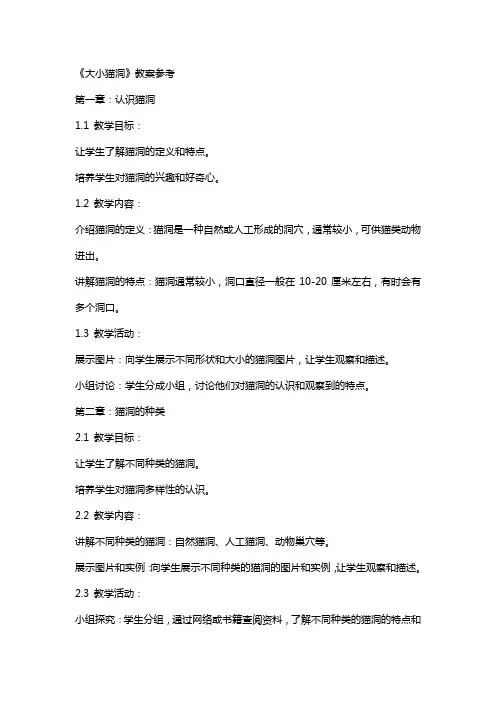 《大小猫洞》教案参考
