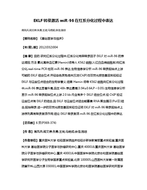 EKLF转录激活miR-96在红系分化过程中表达