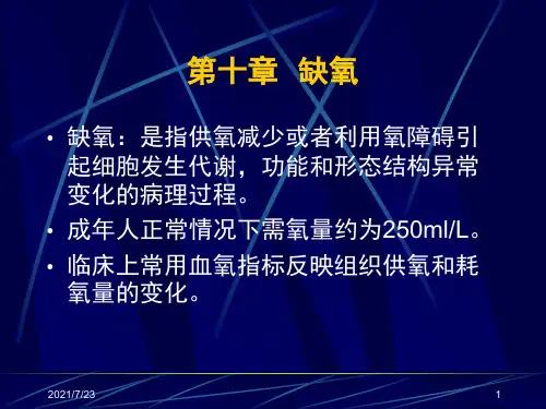 第十章-缺氧PPT课件