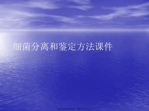 细菌分离和鉴定方法PPT讲稿