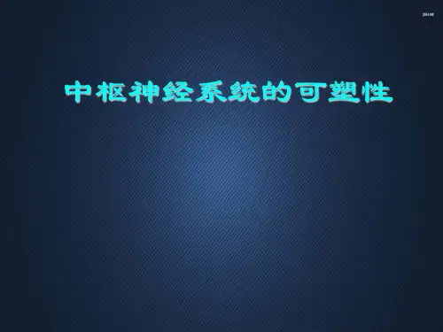 中枢神经系统的可塑性  PPT课件