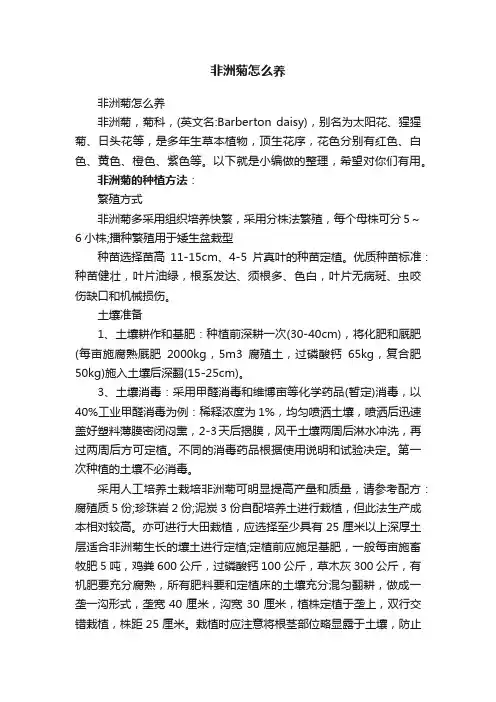 非洲菊怎么养