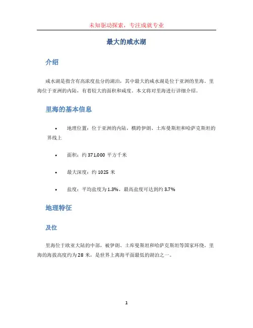 最大的咸水湖