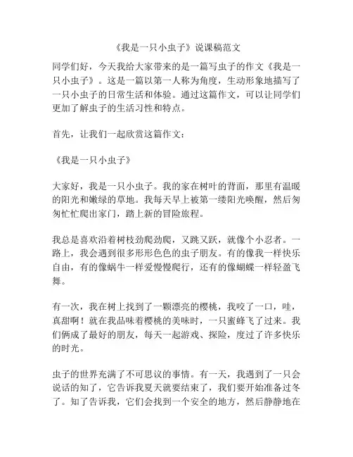 《我是一只小虫子》说课稿范文
