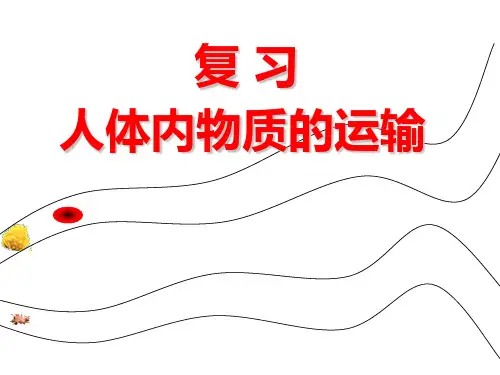 人教版生物七年级下册：4.4.人体内物质的运输复习 课件 (共24张PPT)