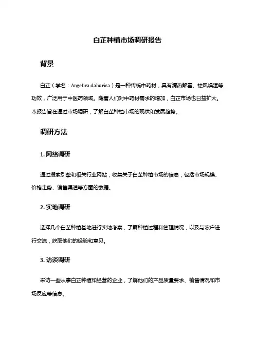 2024年白芷种植市场调研报告