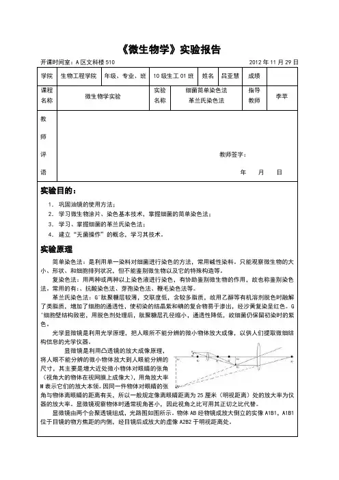 实验三革兰氏染色