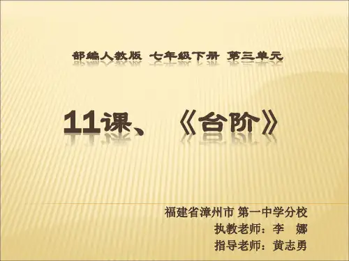 11台阶(完美版)ppt(2)