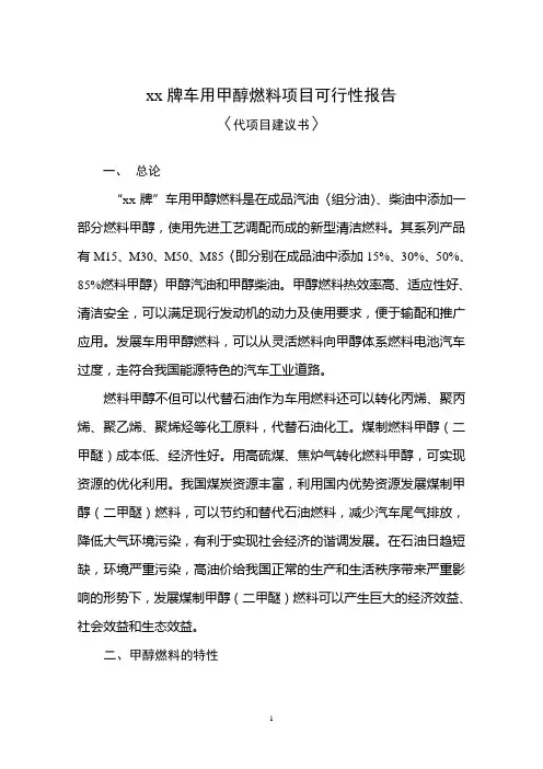 【精品案例类】2019年某知名企业xx牌车用甲醇燃料项目可行性报告
