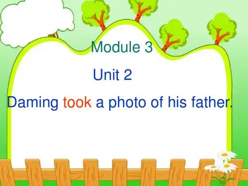 五年级上英语课件-M3U2 Daming took a photo of his father_外研版(三起)