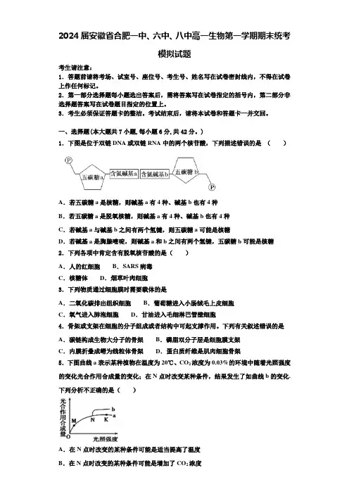 2024届安徽省合肥一中、六中、八中高一生物第一学期期末统考模拟试题含解析
