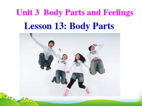冀教版七年级英语上册 Unit 3 Lesson 13《Body Parts》(共33张PPT)