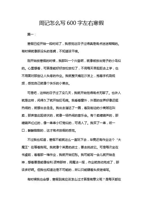周记怎么写600字左右寒假