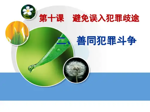 善同犯罪斗争