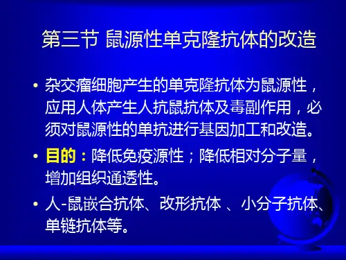 抗体制药课件