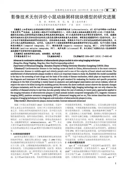影像技术无创评价小鼠动脉粥样斑块模型的研究进展