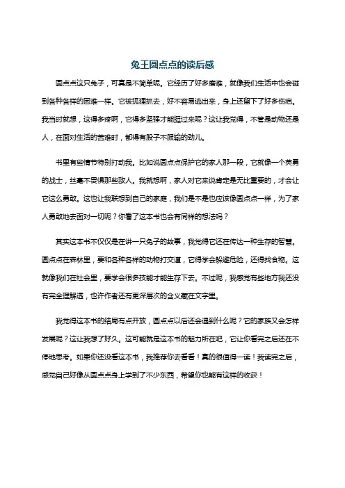 兔王圆点点的读后感