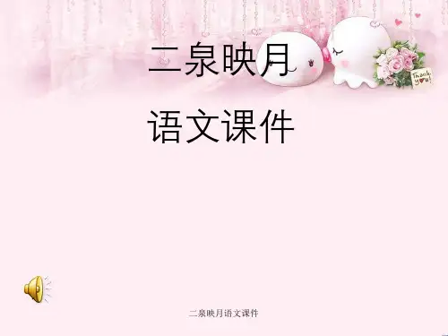 二泉映月语文课件
