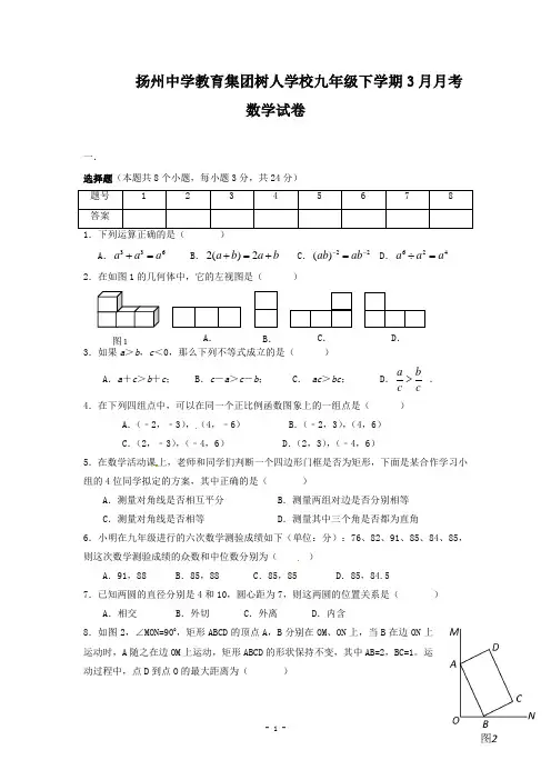 江苏省扬州中学教育集团树人学校2013届九年级3月月考数学试卷