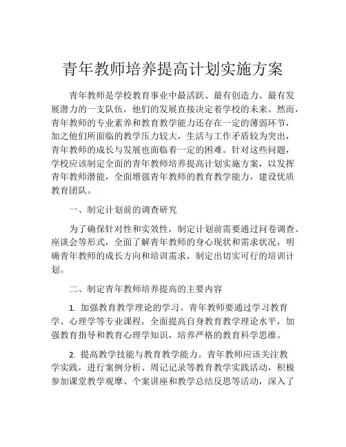 青年教师培养提高计划实施方案