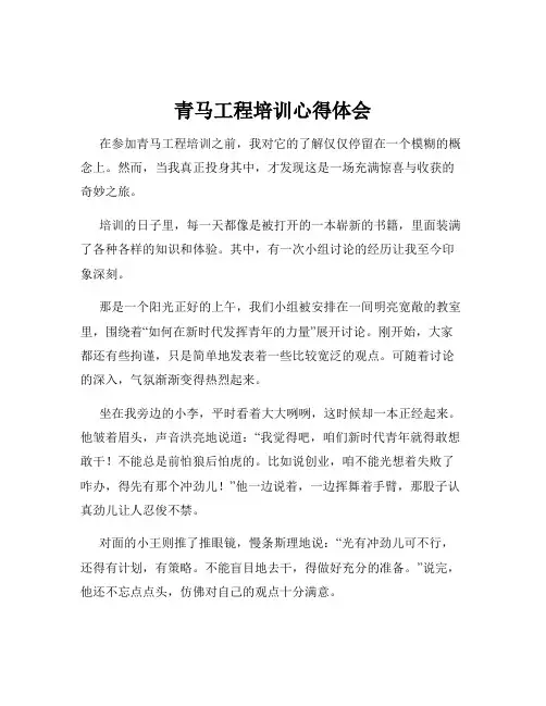 青马工程培训心得体会